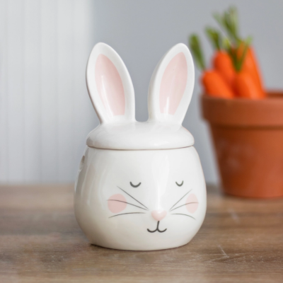 LOT DE 5 Brûle-Parfum Animaux