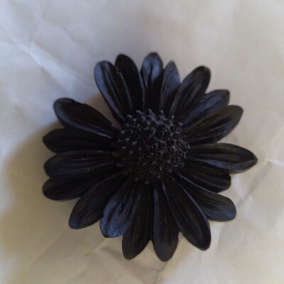Colorant Noir Intense en Grains