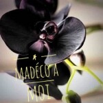 Parfum Pur pour Diffuseur Orchidée Noire